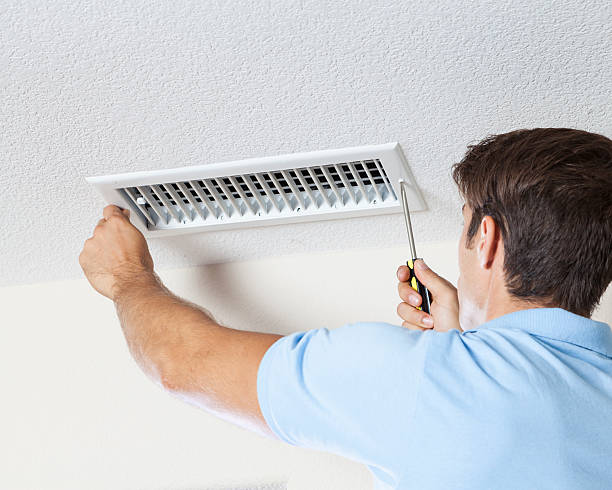 Best Mold Odor Removal Services  in Westport, NC